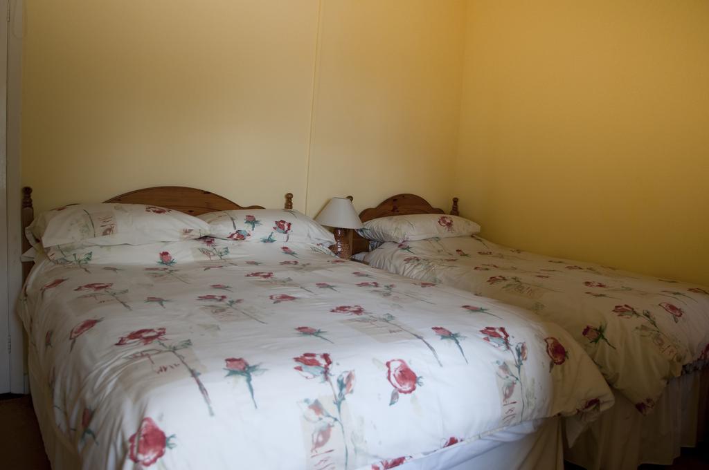 Shamrock House B&B Killarney Ngoại thất bức ảnh